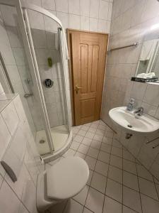 a bathroom with a toilet and a shower and a sink at Hotel und Restaurant Grüner Hahn in Elsenfeld