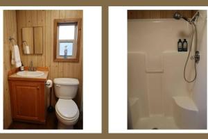 two pictures of a bathroom with a toilet and a sink at Driftwood Cabin - 2nd Street in Steinhatchee