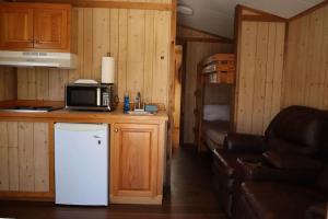 a small kitchen with a refrigerator and a microwave at Driftwood Cabin - 2nd Street in Steinhatchee