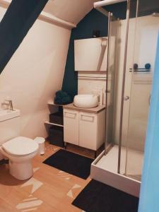 a bathroom with a toilet and a shower at Nuitées / télétravail in Dunkerque
