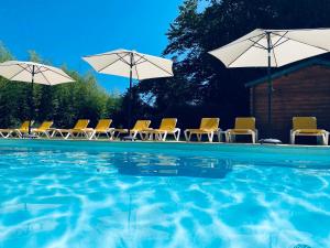 a swimming pool with chairs and umbrellas at Manoir Du Parc (Adults only) in Amboise