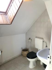 a bathroom with a toilet and a sink and a skylight at Gasthaus am Schloss in Karlsburg