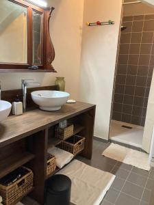 een badkamer met een wastafel, een spiegel en een douche bij L'Oasis de La Roquette in Arles