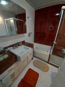 y baño con lavabo, ducha y espejo. en Lindo apartamento com 2 suites, en Río de Janeiro