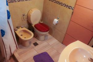 a bathroom with a toilet with a red lid and a sink at Dptos Aloha in Ushuaia