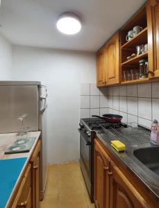A cozinha ou kitchenette de Bungalov Zahej Divčibare