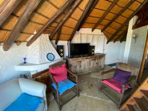 two chairs sitting in a room with a television at Rumba2 in Punta del Este