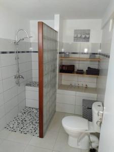 La salle de bains blanche est pourvue d'une douche et de toilettes. dans l'établissement Villa Campêche Azur, au Marin