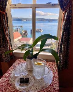 Orcas Hotel في أوركاس: طاولة مع نبات أمام النافذة