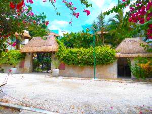 Zahrada ubytování Casa Gatos Suites