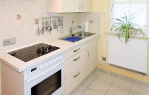 cocina con fregadero y lavavajillas en Gorgeous Home In St,peter Am Kammersberg With Kitchen, en Peterdorf