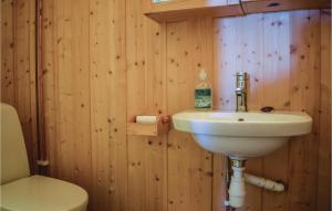 a bathroom with a sink and a toilet at Nice Home In Noresund With 5 Bedrooms And Sauna in Noresund