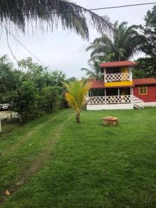 a house with a palm tree in front of a yard at ¡VILLA AZUL! LUGAR ENCANTADOR A 60 METROS DEL MAR :o ;) in Necoclí