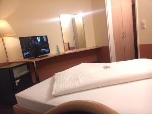 a hotel room with a bed and a television at Central Hotel Winnenden in Winnenden