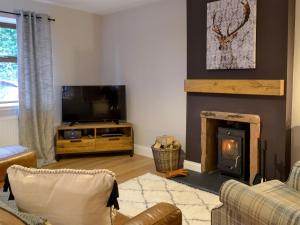 ein Wohnzimmer mit einem Kamin und einem TV in der Unterkunft Terraughtie Cottage East-uk31767 in Terreglestown