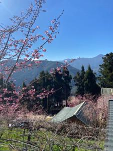 Paesaggio naturale nelle vicinanze dello chalet