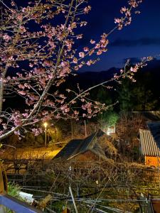 Paesaggio naturale nelle vicinanze dello chalet