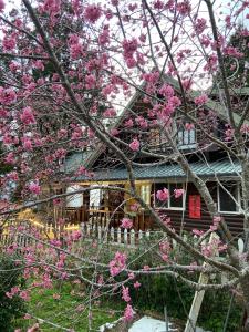 Giardino di Yun Hsiang Zhan Chalet