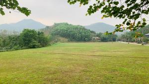 een groot grasveld met bergen op de achtergrond bij Khu nghỉ dưỡng Làng An Bình in Yên Bình