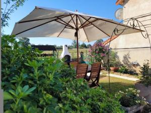 einen Sonnenschirm in einem Garten mit Stühlen und Büschen in der Unterkunft Gîte Sauvagny, 3 pièces, 4 personnes - FR-1-489-430 in Sauvagny