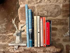 a group of books on a shelf on a wall at Stylish & cosy barn minutes from the Lake District in Penrith