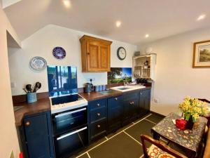 a kitchen with blue cabinets and a fishtank on the wall at Stylish & cosy barn minutes from the Lake District in Penrith