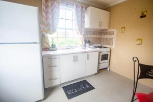 a small kitchen with a refrigerator and a window at Fortescue Cherry Blossom Apartments in Saint Philip