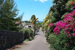 a street with pink flowers and a fence at Modern apartment/3bedrooms/2bathrooms/rooftop/jacuzzi in Pointe aux Sable
