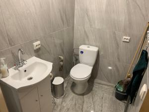La salle de bains est pourvue de toilettes blanches et d'un lavabo. dans l'établissement Butas pačiame miesto centre, à Telšiai