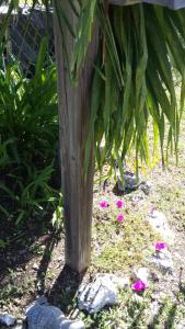a wooden post with pink flowers on the ground at Fortescue Cherry Blossom Apartments in Saint Philip