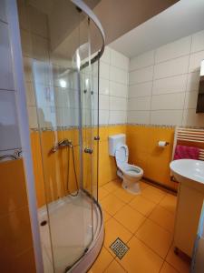 een badkamer met een douche en een toilet bij Casa Adina in Sinaia