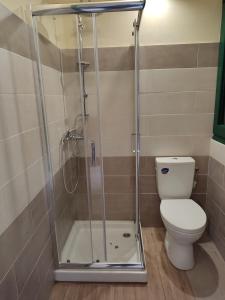 La salle de bains est pourvue d'une cabine de douche et de toilettes. dans l'établissement Erodios Apartments, à Kalyves
