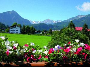 a field of flowers with mountains in the background at Gästehaus zur Färbe Apartments in Oberstdorf