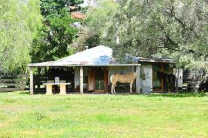The Shearing Shed - Boutique Farm Stay外面的花园