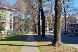 a sidewalk in a park with trees and a street at Spilamberto 6b in San Donato Milanese