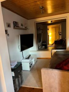 uma sala de estar com uma televisão de ecrã plano e um quarto em Petite maison choux em Bouillon