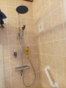 La salle de bains est pourvue d'une douche avec un pommeau de douche. dans l'établissement Le nid de mésanges, à Chauffour-sur-Vell
