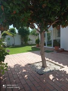 un albero in mezzo a un marciapiede di mattoni di VILLA SANTA CLARA a Chiclana de la Frontera