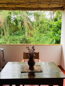 wazon siedzący na stole przed oknem w obiekcie Mrefu Eco-lodge w mieście Marangu