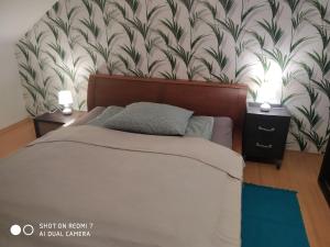 Posteľ alebo postele v izbe v ubytovaní Apartament przy Słonecznej