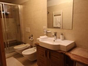 a bathroom with a sink and a toilet and a shower at Stella Di Campo in Campodolcino