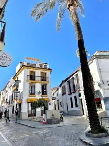 a palm tree and a building on a city street at Apartamento en Casa Patio "Pan y Conejo" in Córdoba