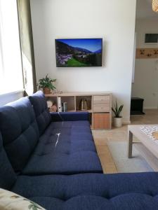 艾蓋爾紹洛克的住宿－Zöld Terasz Vendégház，客厅里设有蓝色的沙发,墙上配有电视