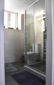 La salle de bains est pourvue d'une douche en verre et de toilettes. dans l'établissement Sitos Home, à Sparte