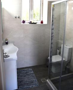 a bathroom with a shower and a sink and a toilet at Sitos Home in Sparti +19 photos