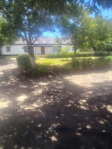 einen Hof mit Bäumen vor einem Haus in der Unterkunft Namishukwe House in Mongu