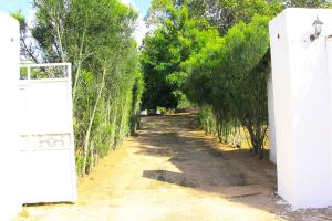 eine unbefestigte Straße mit Bäumen auf beiden Seiten in der Unterkunft Namishukwe House in Mongu