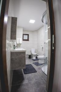 a bathroom with a sink and a toilet and a shower at Cabana Stânceni in Drăgoiasa