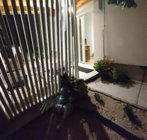 Сад в Studio apartman Oliva