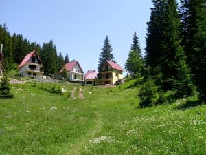 Táj az apartman közelében